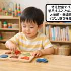 幼児教室でパズルを活用することの基礎知識と年齢・発達段階別のパズル選びを徹底解説